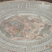 фото из отзыва ID 1109030