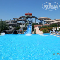 фото из отзыва ID 1109030