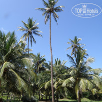 фото из отзыва ID 1109032