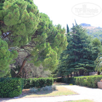 фото из отзыва ID 1109506