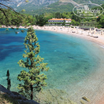 фото из отзыва ID 1109506