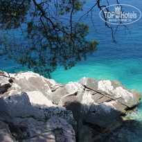 фото из отзыва ID 1109506