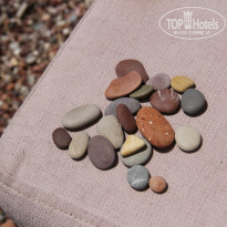 фото из отзыва ID 1109506