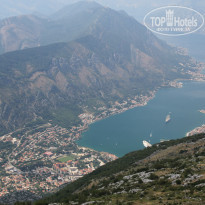 фото из отзыва ID 1109506