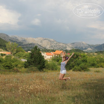 фото из отзыва ID 1109506