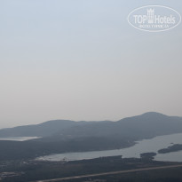 фото из отзыва ID 1109506