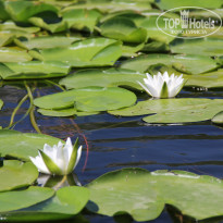 фото из отзыва ID 1109506