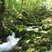 фото из отзыва ID 1109506