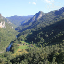 фото из отзыва ID 1109506