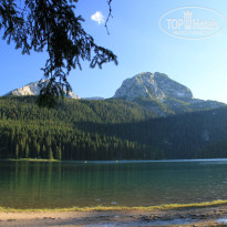 фото из отзыва ID 1109506