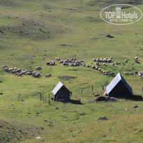 фото из отзыва ID 1109506