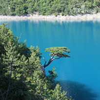 фото из отзыва ID 1109506