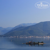 фото из отзыва ID 1109506