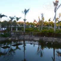 фото из отзыва ID 1106029