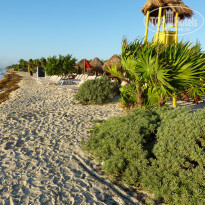 фото из отзыва ID 1106029