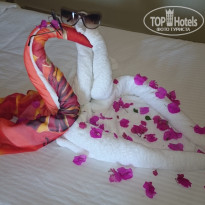 фото из отзыва ID 1109686