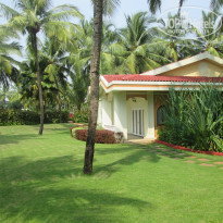 фото из отзыва ID 1109815