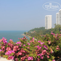 фото из отзыва ID 1109875