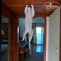 фото из отзыва ID 1109549