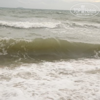 фото из отзыва ID 1106731