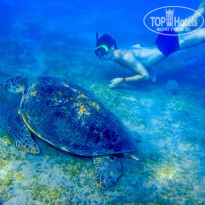 фото из отзыва ID 1100552