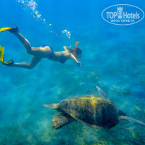 фото из отзыва ID 1100552