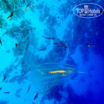 фото из отзыва ID 1100552