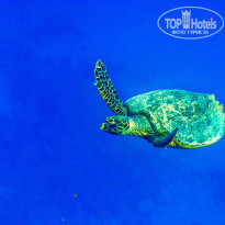 фото из отзыва ID 1100552