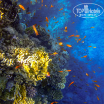 фото из отзыва ID 1100552