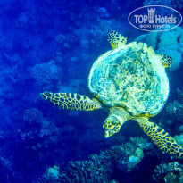 фото из отзыва ID 1100552