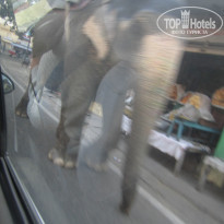 фото из отзыва ID 1109393