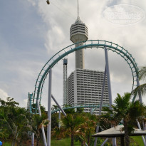 фото из отзыва ID 1102785