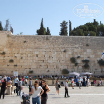 фото из отзыва ID 1101839