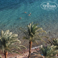 фото из отзыва ID 1101839