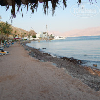 фото из отзыва ID 1101839