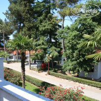 фото из отзыва ID 111119