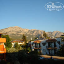 фото из отзыва ID 111337