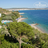 фото из отзыва ID 111891