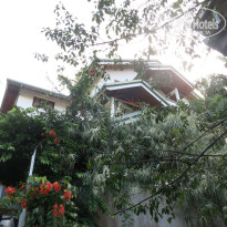 фото из отзыва ID 1110076