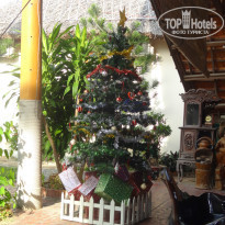 фото из отзыва ID 1110389