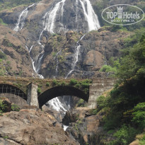 фото из отзыва ID 1110398