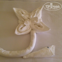 фото из отзыва ID 1110660