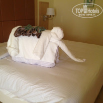 фото из отзыва ID 1110660