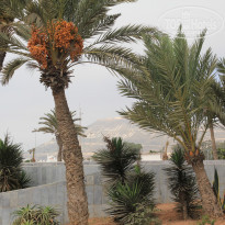 фото из отзыва ID 1110668