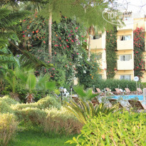 фото из отзыва ID 1110668