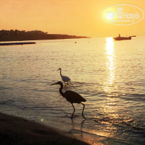 фото из отзыва ID 1110695