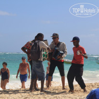 фото из отзыва ID 1111187