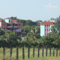 фото из отзыва ID 1111187