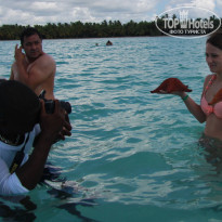 фото из отзыва ID 1111380