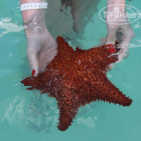 фото из отзыва ID 1111380